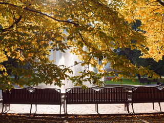 fountain in the morning sun in a city park. Gomel, Belarus