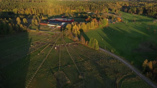 Two lonely horses on a pasture outside a Swedish riding school on late autumn evening. The low sun is casting long shadows on the green grass. Aerial pull-back, filmed in realtime.
