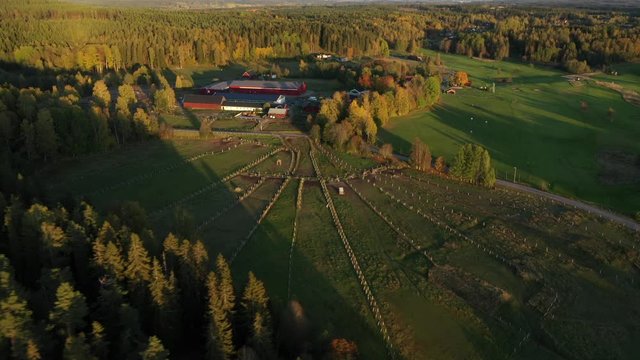 Two lonely horses on a pasture outside a riding school on late autumn evening. The low sun is casting long shadows on the green grass. Aerial footing orbiting left to right, filmed in realtime.