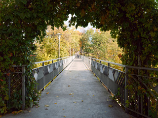 Autumn landscape in a city park. Gomel, Belarus
