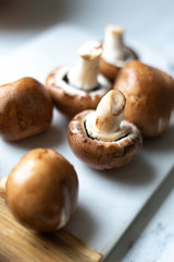 Fresh raw royal champignon on marble board