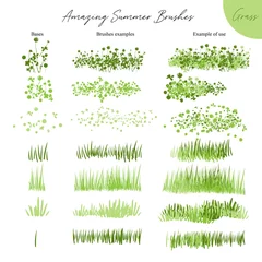 Fototapeten Set of summer vector grass ecology brushes - silhouettes of summer grass, flowers, different Earth greenery types isolated on white, vector illustration brush nature collection © kirasolly