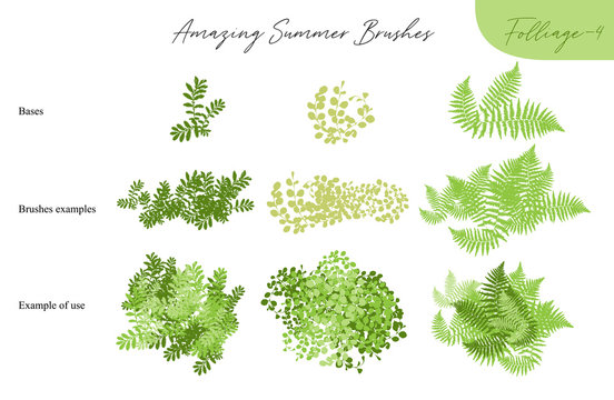Set of summer vector foliage ecology tropical brushes - silhouettes of summer leaves, foliage of trees, different greenery types isolated on white, vector illustration brush nature collection