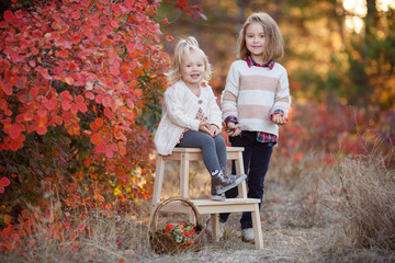 Two cute young sisters having fun on beautiful autumn day. Happy children playing in autumn park. Kids gathering yellow fall foliage. Autumn activities for children.Happy girlfriends spend time outdoo