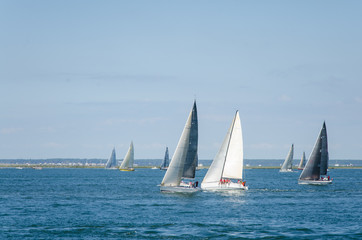 Fototapeta premium bateaux à voile. voiliers à la mer