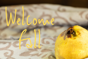 Ressource graphique avec un coing fruit d'automne à la peau duveteuse jaune et le texte en anglais Bonjour Automne (Welcome Fall) sur un fond en bois et une table en bois - nature morte pour automne © Noble Nature