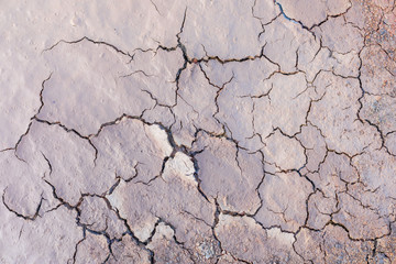 Grey dry soil or mud texture for background