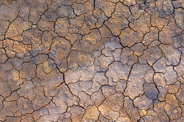 Grey dry soil or mud texture for background
