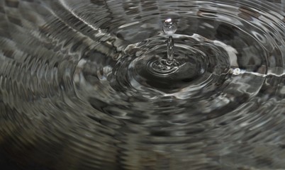 water bubble