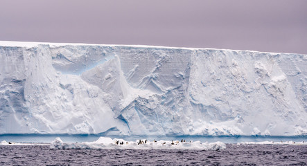 A huge tabular iceberg towers over penguins in Antarctica © Katherine Rock
