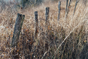 des poteaux en bois et des herbes sèches hautes en hiver