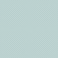 Geometric vector white diagonal grid. Seamless light blue and white abstract pattern. Modern background