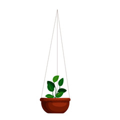 Hanging pot with Plant - Vector Image