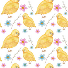 Easter Seamless pattern Watercolor hand drawn of yellow chiken, Spring flowers, willow, bow. Colorful bird, chikens baby on white background. Design for invitation, poster, card, fabric, texture.