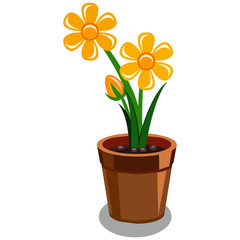Yellow Flowering Plant - Cartoon Vector Image