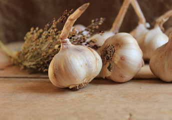Garlic close-up on a wooden background.