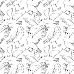 Vector Sky bird seagull isolated. Black and white engraved ink art. Seamless background pattern.