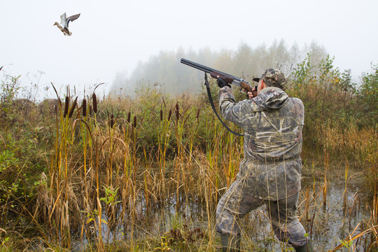 the hunter takes aim at the flying duck in the swamp