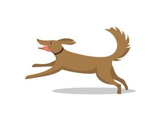 Pet dog running breed with tongue isolated vector. Mammal wearing collar on neck, happy and friendly animal. Domestic mammal on walk, active puppy