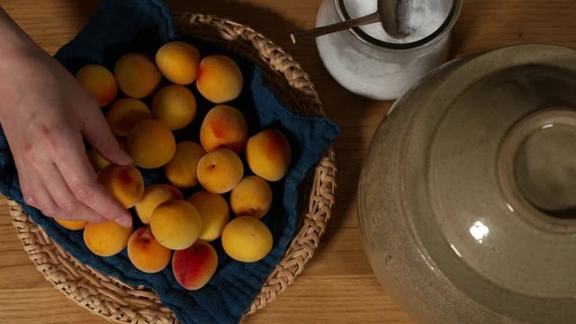 a Japanese female chef putting Nanko-Ume plums at her home kitchen, Tokyo, Japan. July 2019. Camera fixed, close-up, bird's eye view