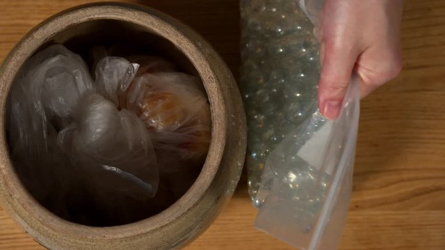 a Japanese female chef weighting down Nanko-Ume plums at her home kitchen, Tokyo, Japan. July 2019. Camera fixed, close-up, bird's eye view