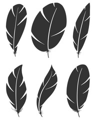 Set of different bird wing feathers. Flying quills symbols. Vector image.
