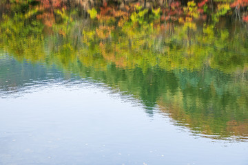 Reflection of autumn forest in the water