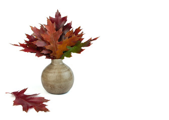 Bouquet of autumn leaves in a vase on white background.