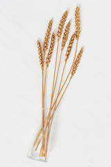 Autumn ears of wheat gold colored in vase, creative still life on light concrete background. Top view on decorative wheat in glass transparent vase.
