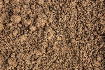 fertilizer dirt soil texture background