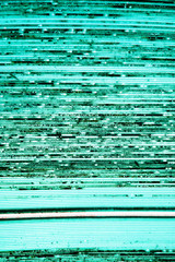 Obraz premium dirty old green honeycomb polycarbonate panels