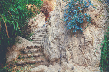 Oasis in the desert. Ein Gedi nature reserve. Israel