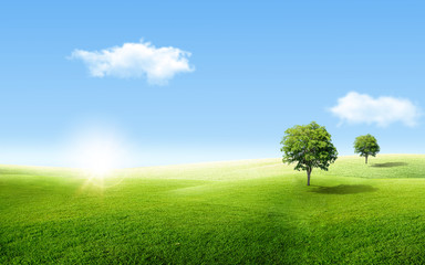 Fototapeta na wymiar Beautiful landscape view of Alone green tree with grass natural meadow field and little hill with white clouds and blue sky in summer seasonal.
