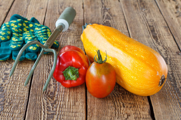 Vegetables with gloves and a rake on wooden background.