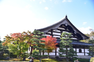 chinese pavilion in japanese garden