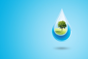Ecology and Environmental Concept : Green trees in blue water drop falling to floor.