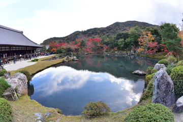 bridge over the river
