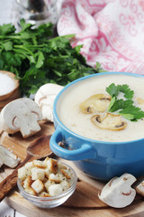 A bowl with mushroom cream soup	