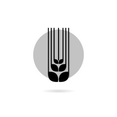 Wheat icon isolated on white background