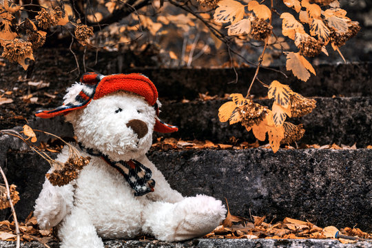 A white teddy bear in a red hat in a scarf sits on a stone staircase under a bush with yellow leaves in an autumn park. - Powered by Adobe
