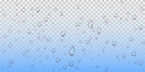 water drops on transparent background.