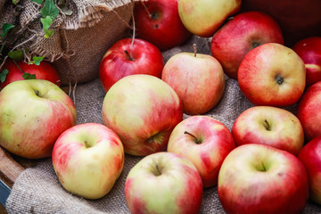 Fresh rustic red-green apples on the table