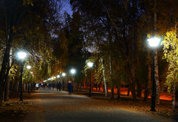 Fototapeta na wymiar Evening alley in the fall is illuminated by beautiful lanterns. blurred movement of people at a shutter speed of 1.6
