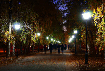 Evening alley in the fall is illuminated by beautiful lanterns. blurred movement of people at a shutter speed of 1.6