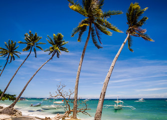 Palm trees and fishing boats at Alona Beach, Panglao Island, Bohol, Philippines