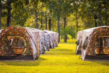 Adventures, camping, tourism and tents under the scenery of pine forest Outdoor in the morning Tourism concept