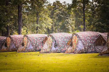 Adventures, camping, tourism and tents under the scenery of pine forest Outdoor in the morning Tourism concept