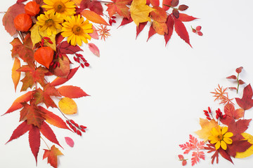 autumn leaves and flowers on white background