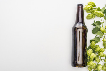 top view of fresh beer in bottle with green hop on white background