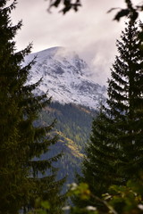 Polish mountains Tatry,  Jesien w Tatrach - obrazy, fototapety, plakaty